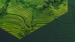 Aerial view of a landscape with multiple layers and lines